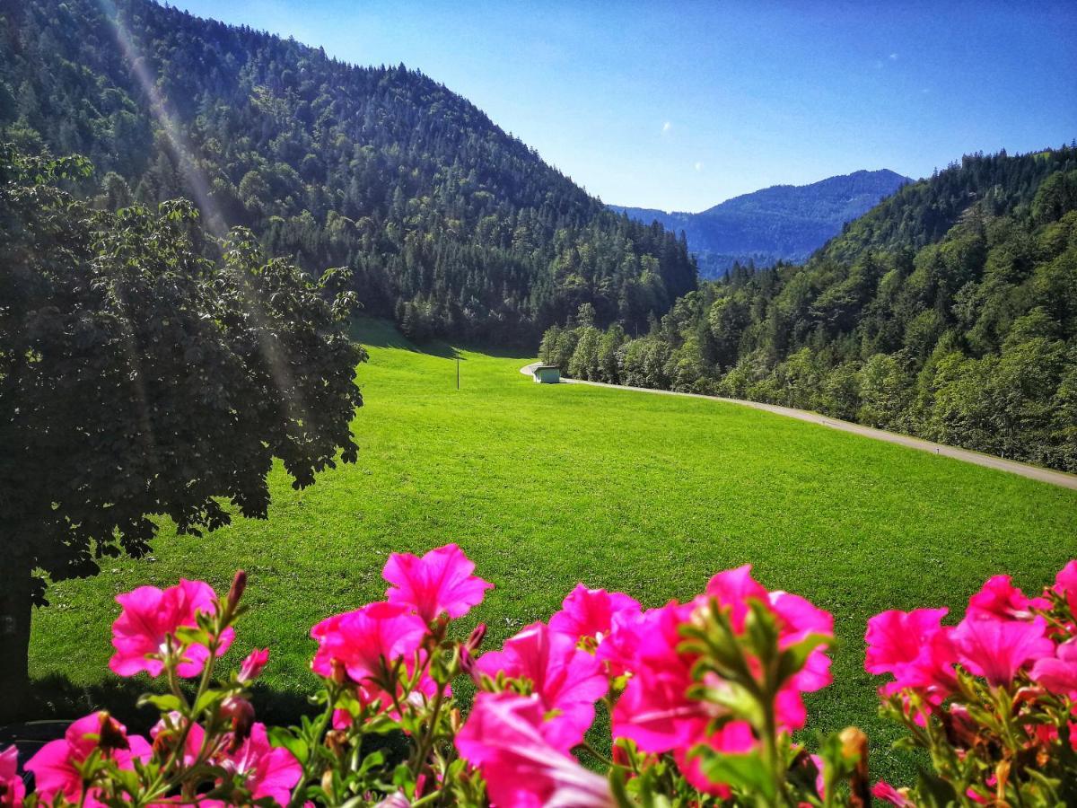 Gwercherwirt Brandenberg المظهر الخارجي الصورة