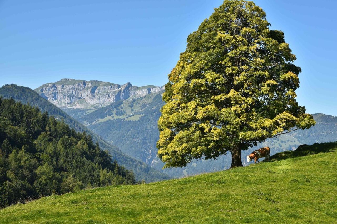 Gwercherwirt Brandenberg المظهر الخارجي الصورة